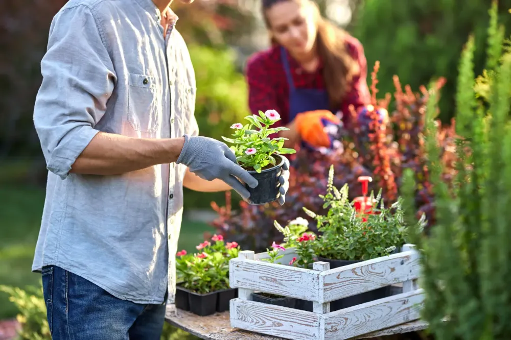 Aménagement de jardin naturel à Attert