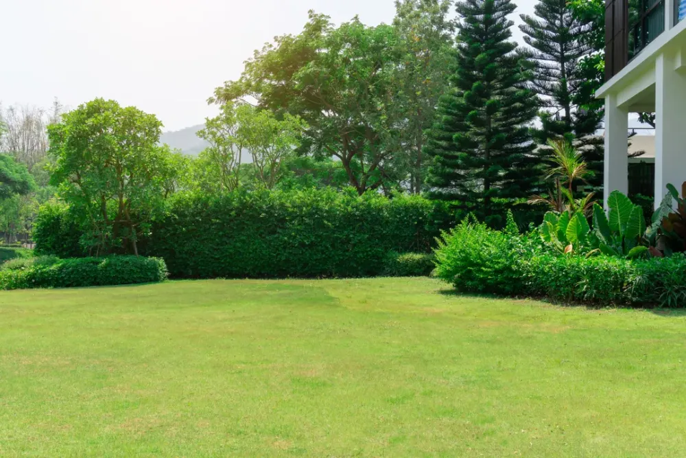 Aménagement jardin personnalisé à Attert